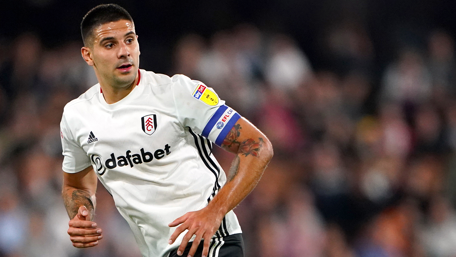 Fulham Preview 