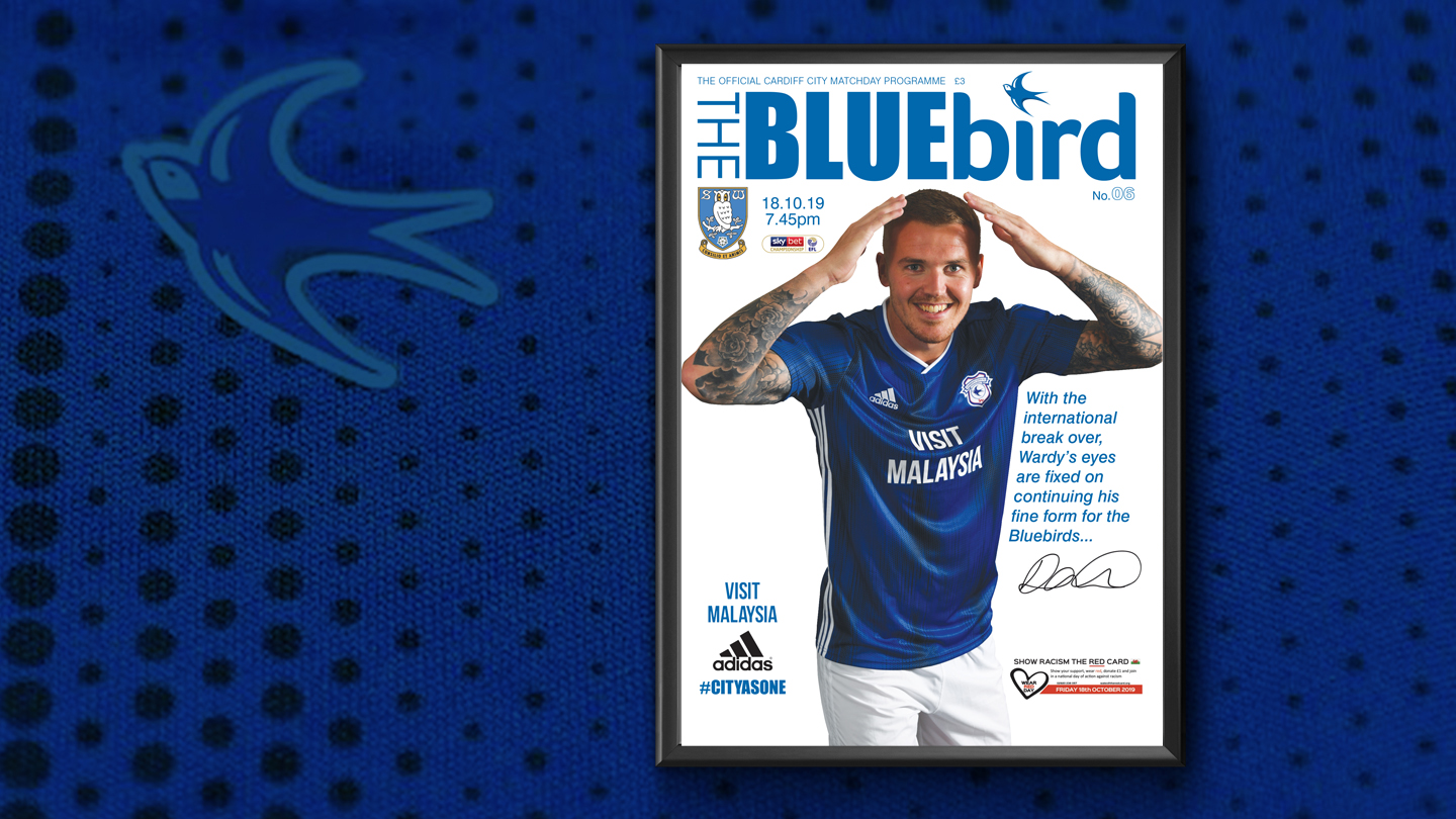 Danny Ward Bluebird Cover