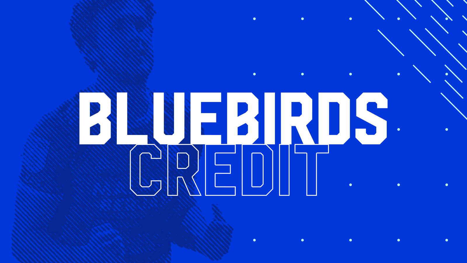 Bluebirds Credit
